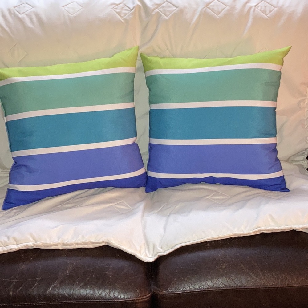 2 decorative pillows